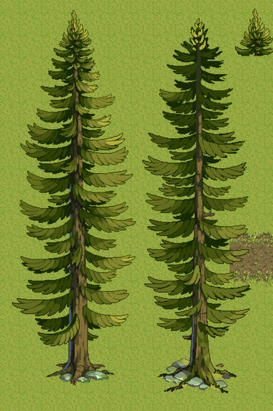 Trees for 'Sprite Festival'